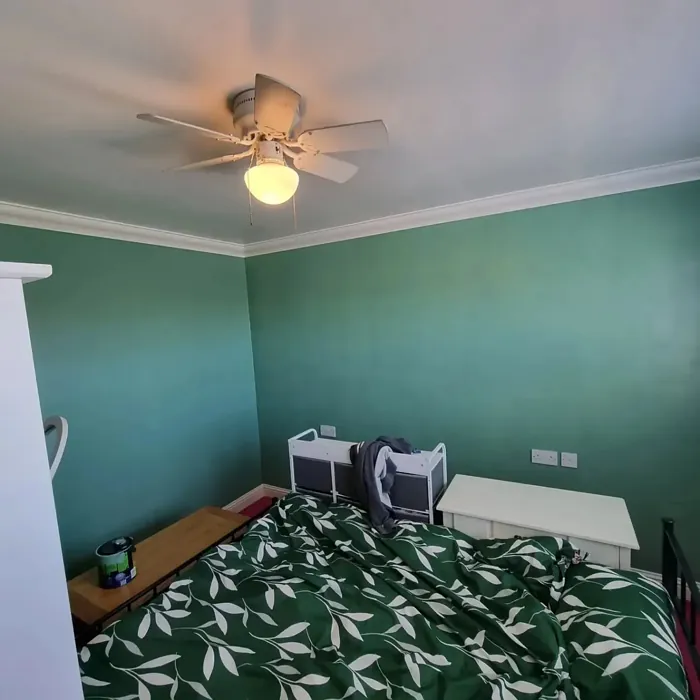 Dulux Village Maze bedroom paint