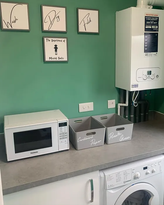 Dulux Village Maze laundry room color