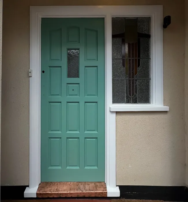 Dulux 10GG 33/166 front door review
