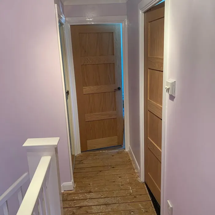 Violet White hallway color review