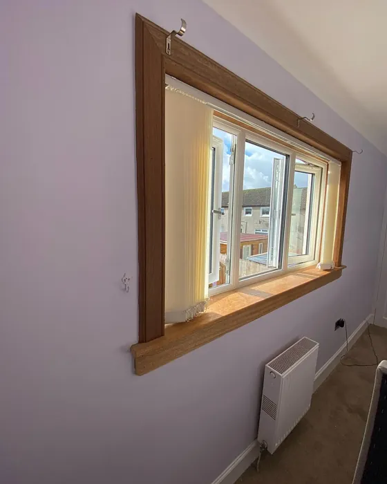 Dulux 10RB 74/066 wall paint color