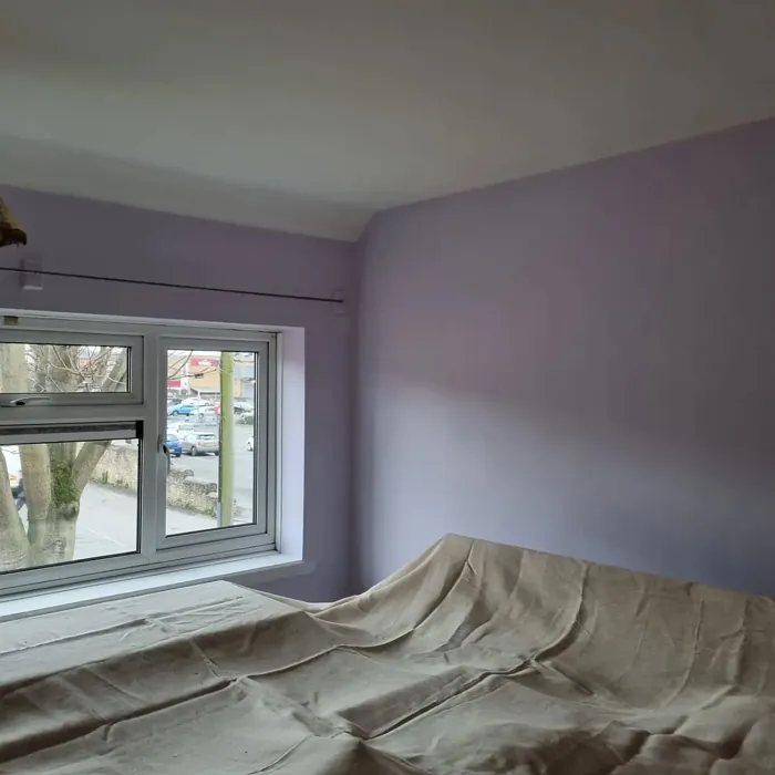 Dulux 10RB 74/066 bedroom color review