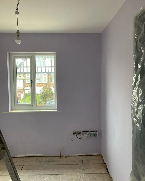 Dulux Violet White wall paint photo
