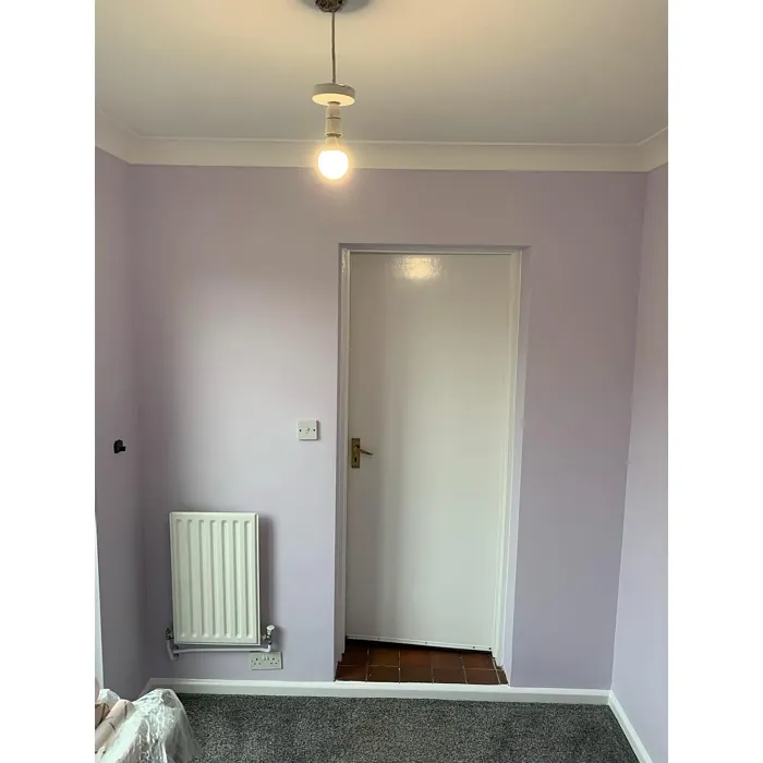 Dulux Violet White hallway color review
