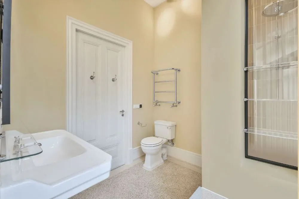 Sherwin Williams Vital Yellow bathroom