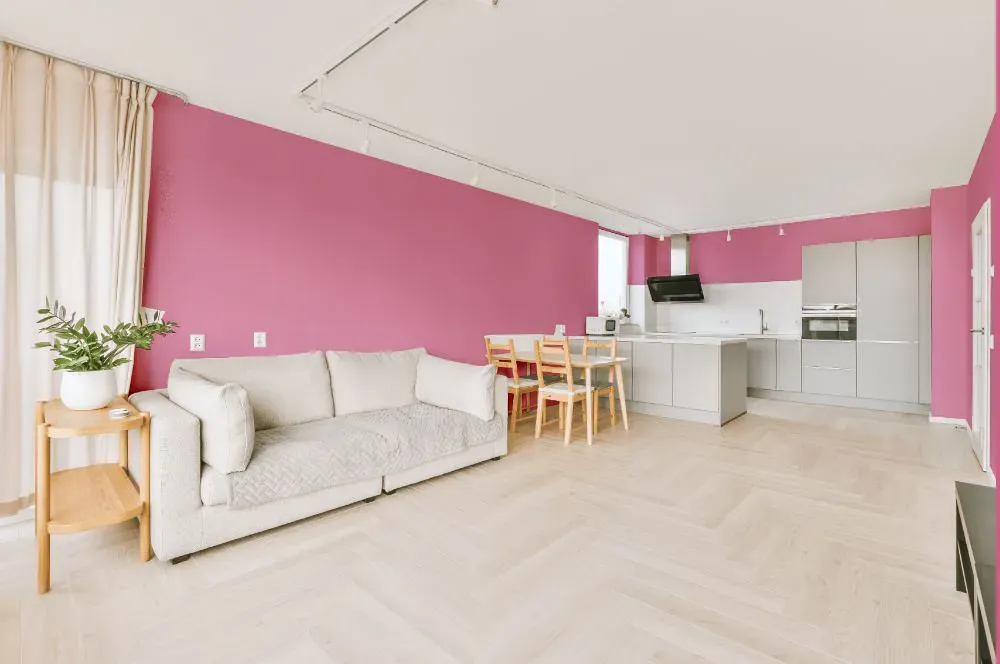 Sherwin Williams Vivacious Pink living room interior