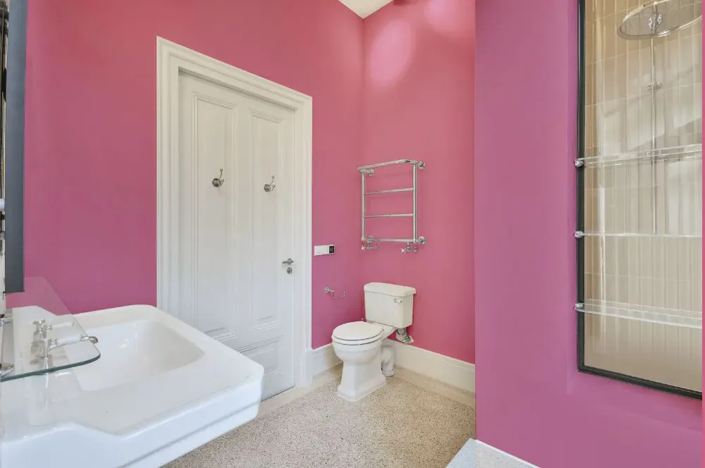 Sherwin Williams Vivacious Pink bathroom