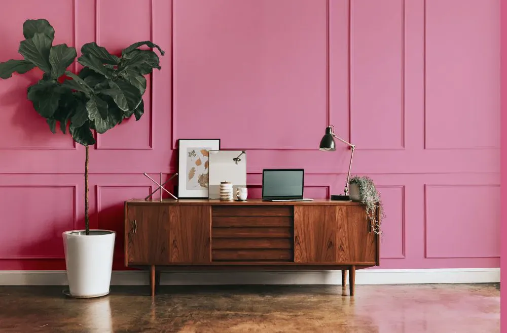 Sherwin Williams Vivacious Pink modern interior