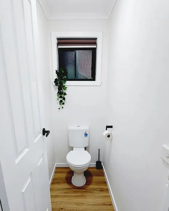 Dulux Vivid White SW1G1 bathroom