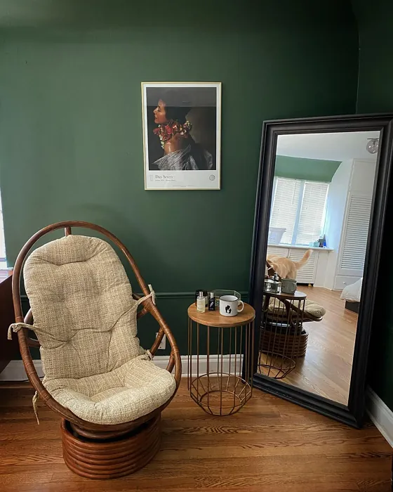 SW Vogue Green living room interior