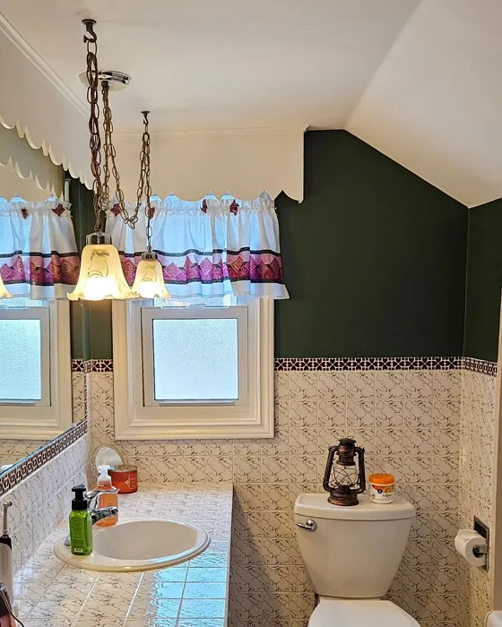 SW Vogue Green bathroom color review