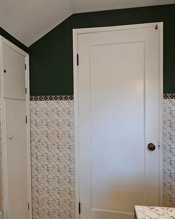 Sherwin Williams Vogue Green bathroom color review