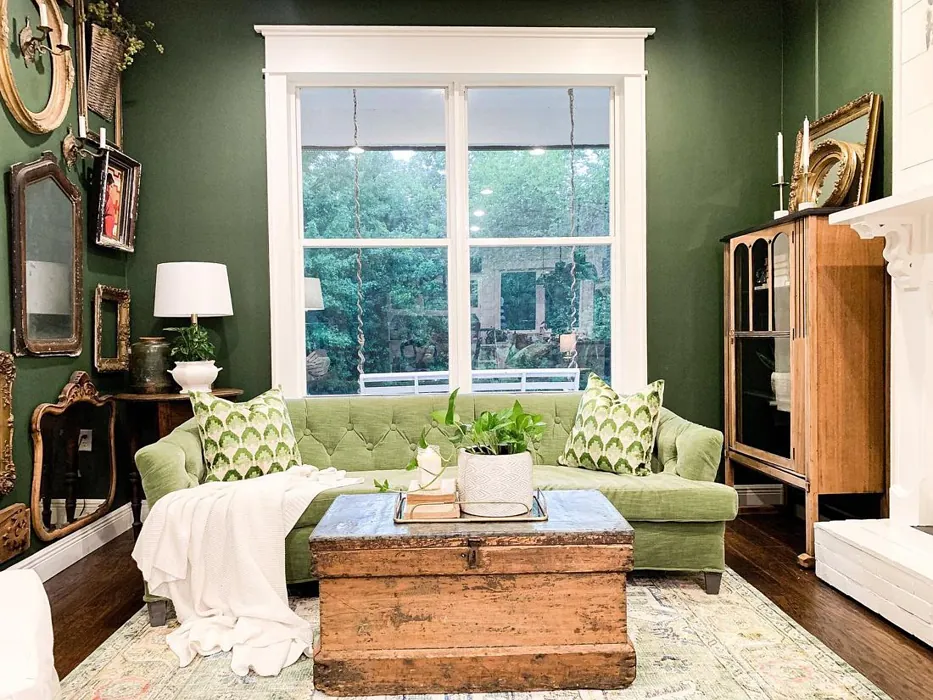 Vogue green living room