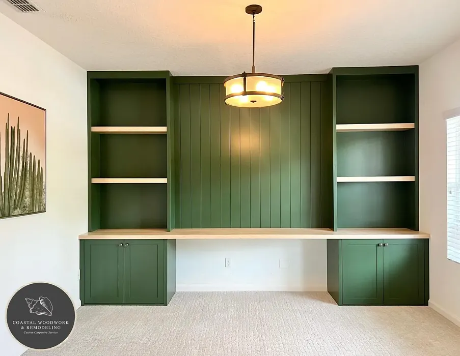 SW Vogue Green painted cabinets 