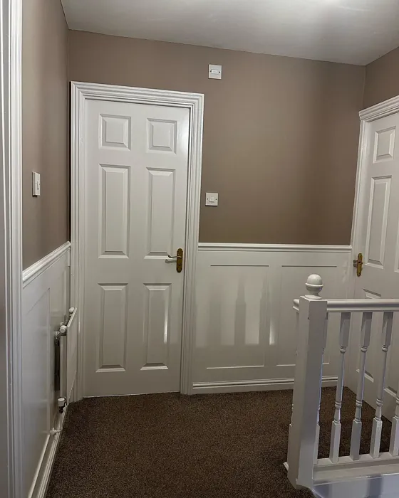 Dulux Warm Truffle hallway color