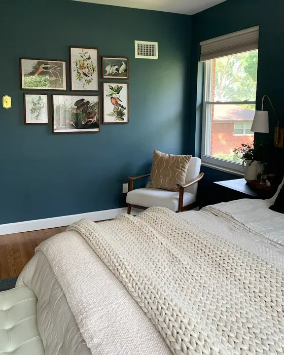 Sherwin Williams Waterloo bedroom 