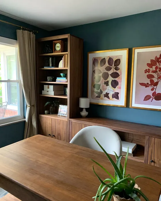 Sherwin Williams Waterloo home office review