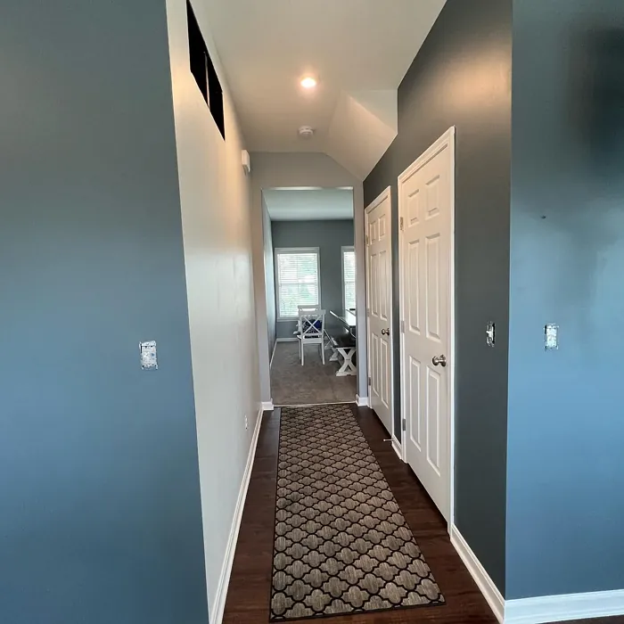 Sherwin Williams Waterloo hallway review