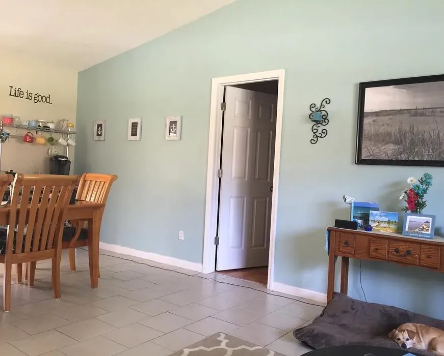 SW Watery dining room accent wall