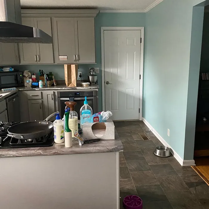 SW Watery kitchen paint