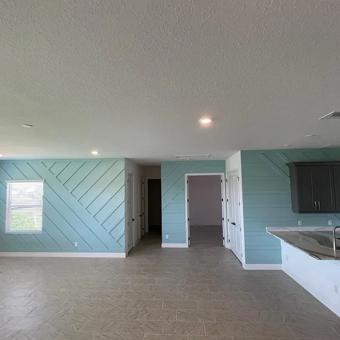 Sherwin Williams Watery wall paint review