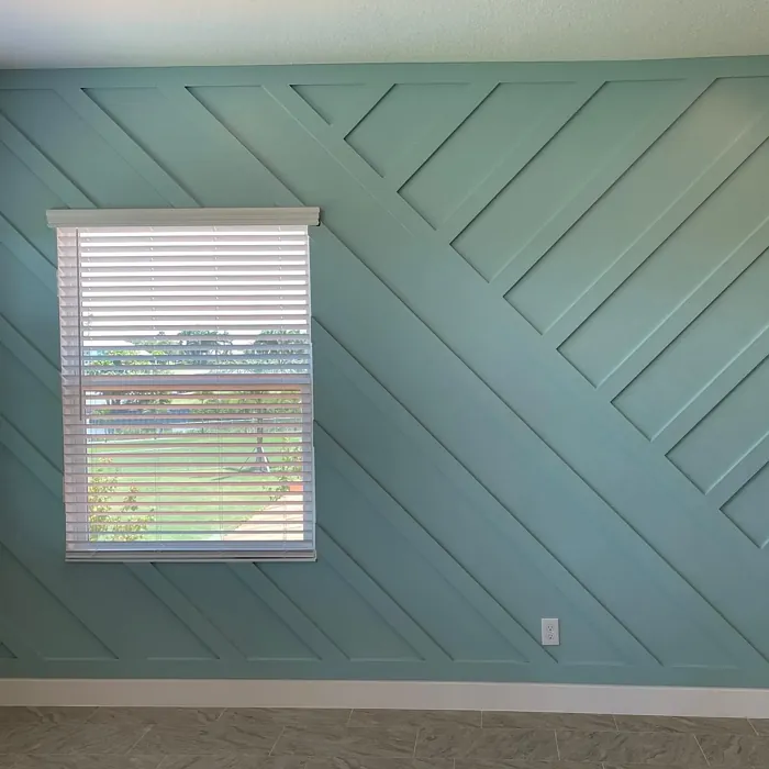 Sherwin Williams Watery wall paint accent wall