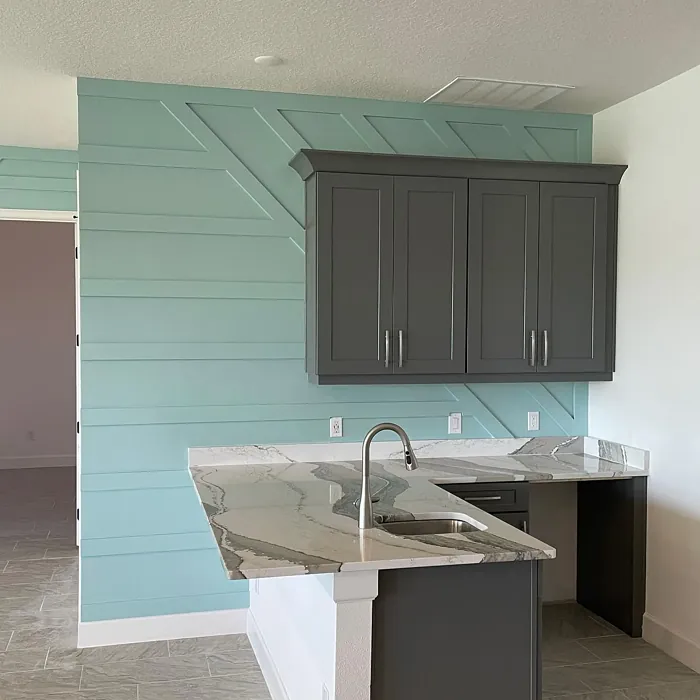 Sherwin Williams Watery kitchen accent wall