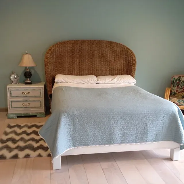 Sherwin Williams Watery boho bedroom 