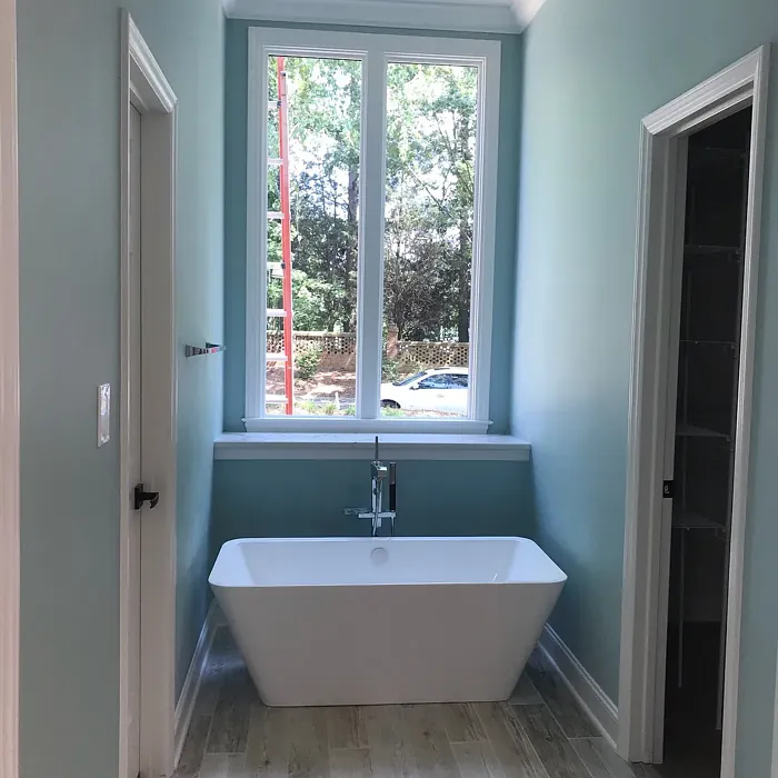 SW 6478 bathroom color review