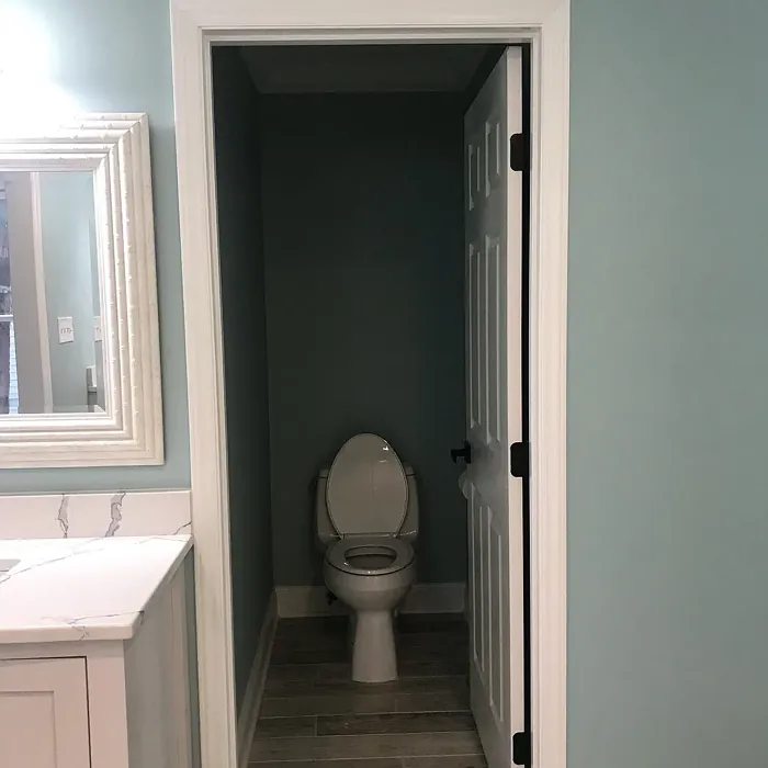 SW 6478 bathroom paint