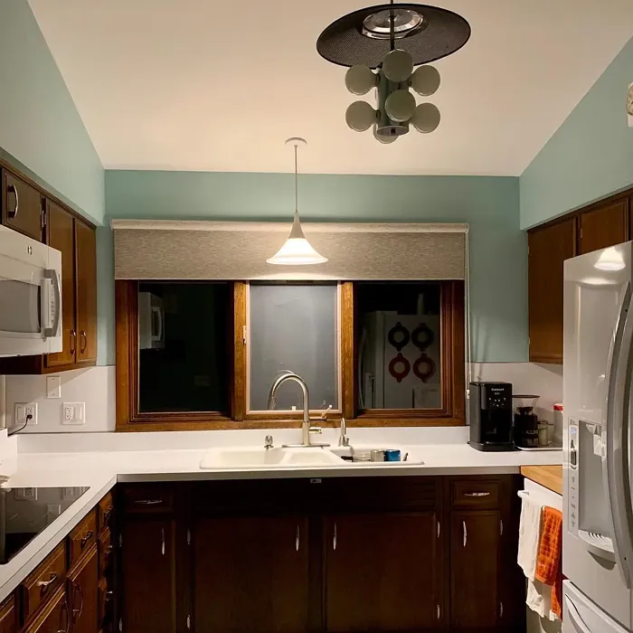 SW Watery kitchen paint review