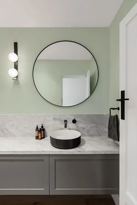 Sherwin Williams Wavecrest minimalist bathroom
