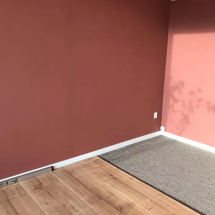 Welcoming Red wall paint color