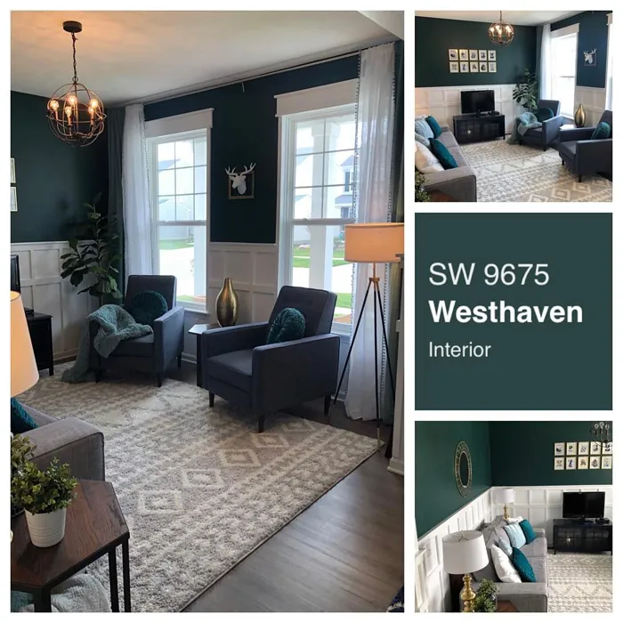 Sherwin Williams Westhaven Living Room