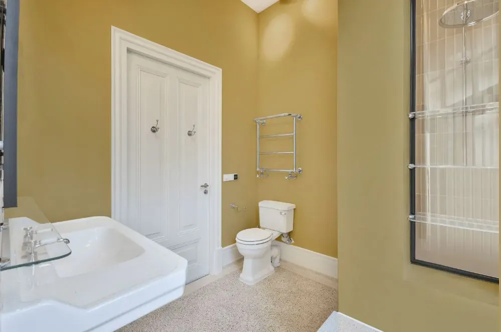 Sherwin Williams Wheat Grass bathroom