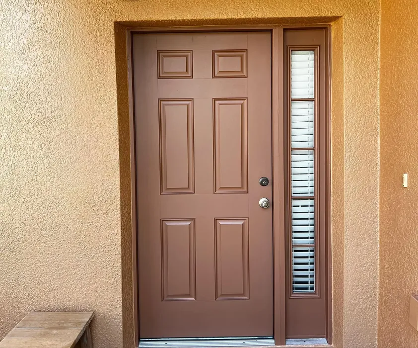 SW Wheat Penny front door color review