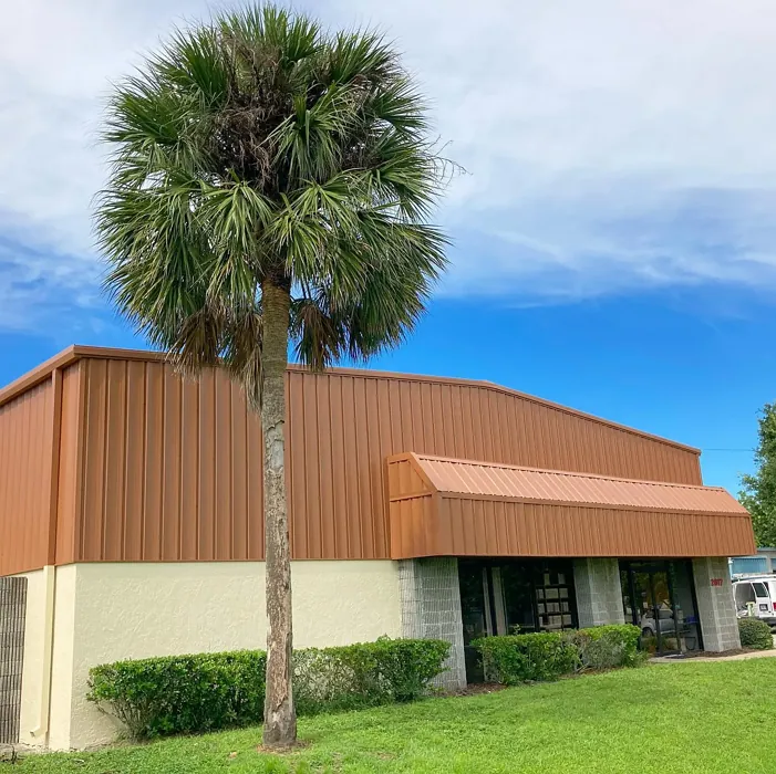 SW Wheat Penny exterior paint