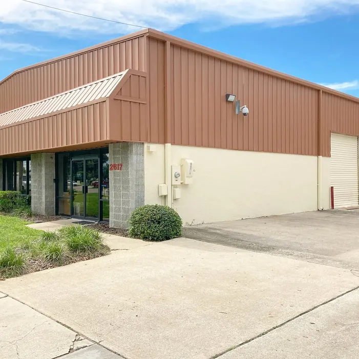 SW Wheat Penny exterior color review