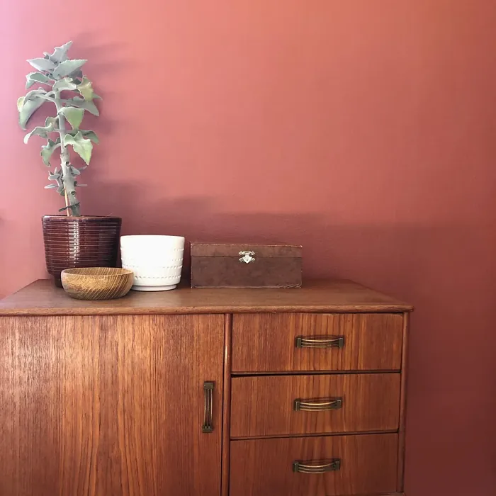 Jotun Whispering Red wall paint color review