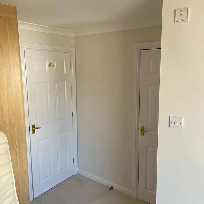 Dulux Vanilla Mist 3 wall paint 