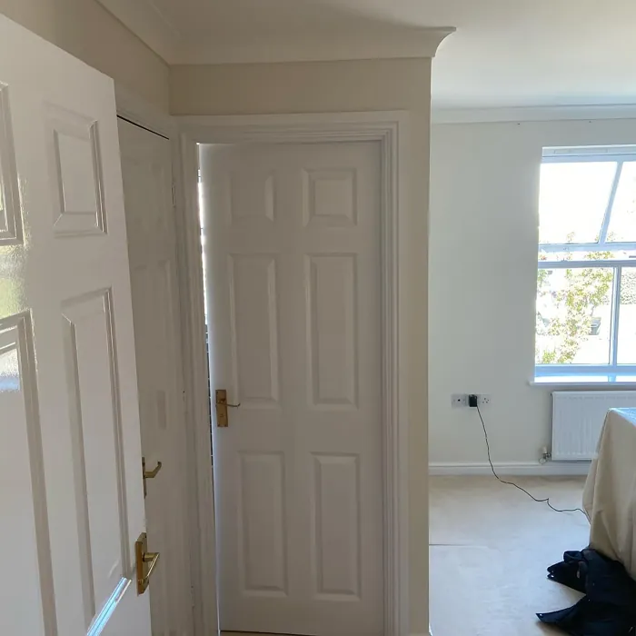 Dulux Vanilla Mist 3 wall paint color review