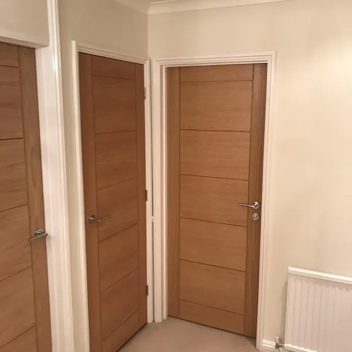 Dulux Vanilla Mist 3 hallway color