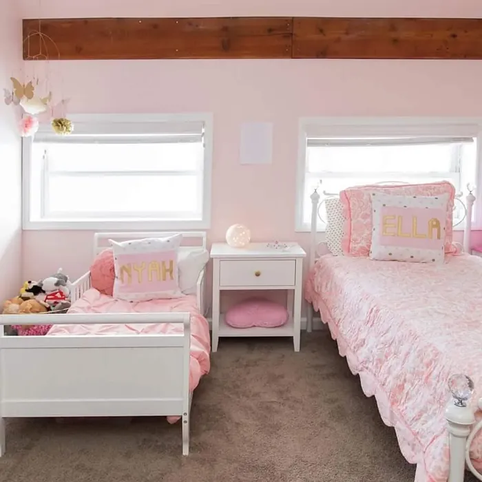 SW White Dogwood kids' room color