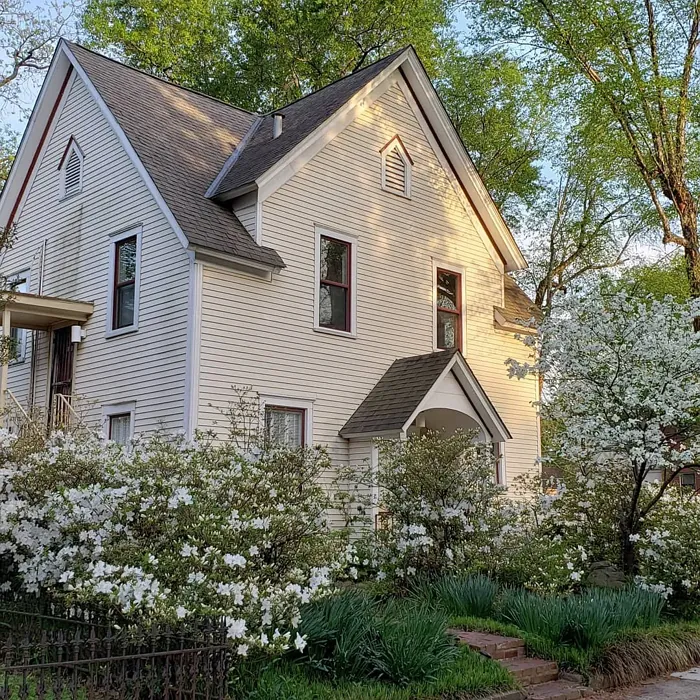 SW White Dogwood house exterior color