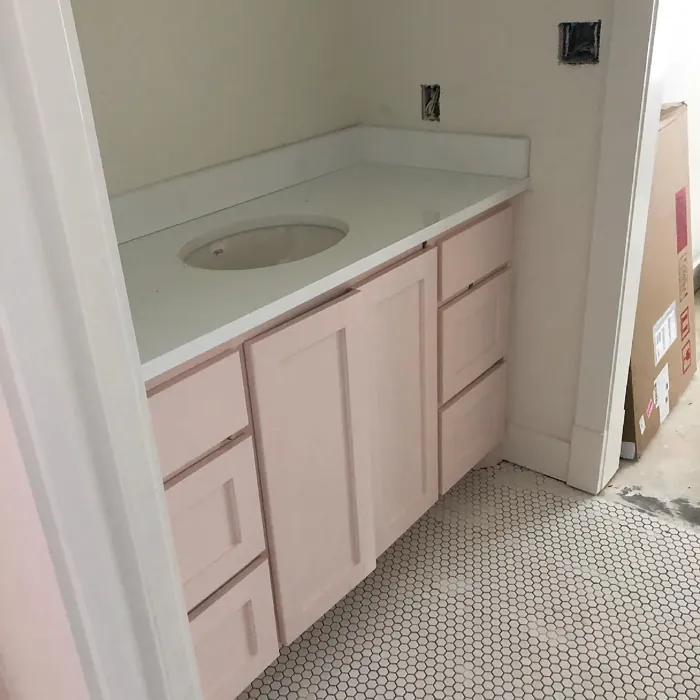 Sherwin Williams White Dogwood bathroom vanity 