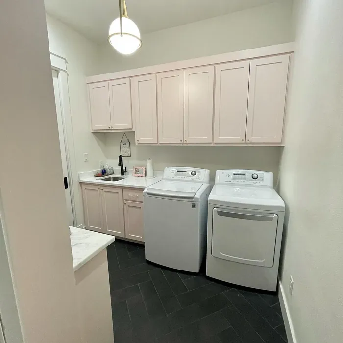 Sherwin Williams White Dogwood laundry room 