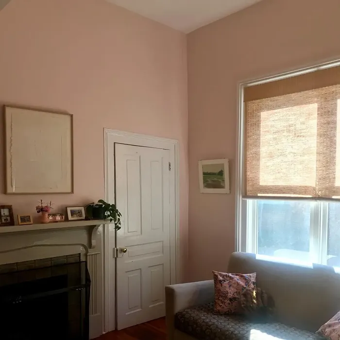 Sherwin Williams White Dogwood living room interior