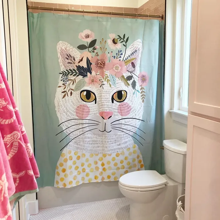 SW 6315 painted cabinets 