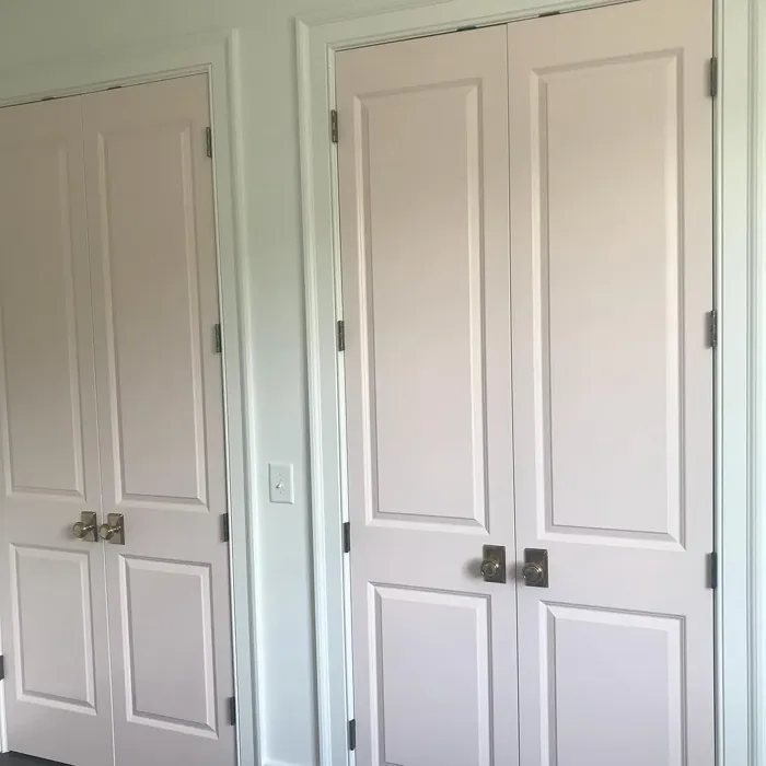 SW White Dogwood door color