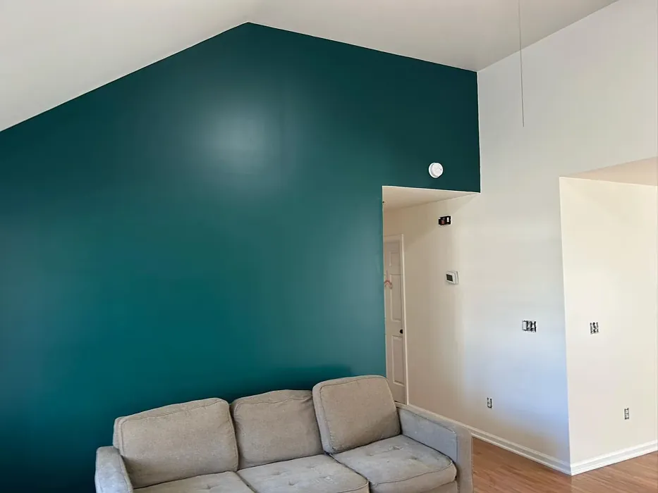 Sherwin Williams SW 7102 living room paint
